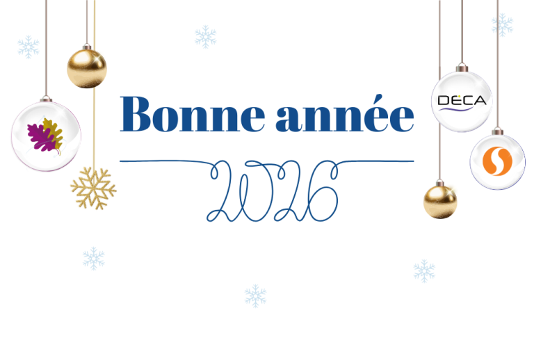 Félix Informatique vous souhaite une bonne année 2026.